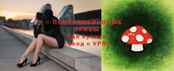 ALPHA PVP Покачи