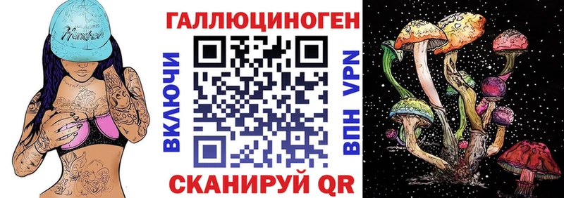 закладки  мега как войти  Галлюциногенные грибы Psilocybine cubensis  Борзя 